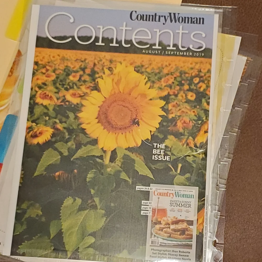 Homemade cover and 4 dashboards/dividers for a classic size disc bound planner